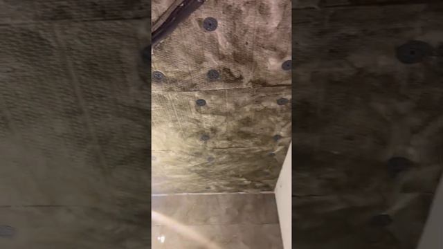 Отзыв о плите звукопоглощающая SoundGuard ЭкоАкустик 80