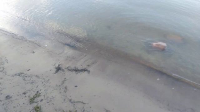 516e0b8f93f60c5832305d7ed4ebd525