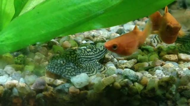 7f9ee4280d4263318810d6d1e16fa693