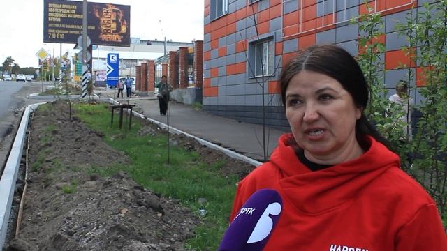 Посаженные за 12 миллионов саженцы прижились наполовину