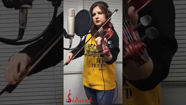 Bad Guy-Billie Eilish-Natalia Sidaruk-violin Cover