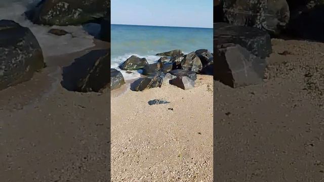 Бердянск-Коса