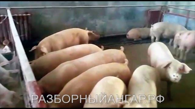 02d9edcae5563563bc612363137c13c9