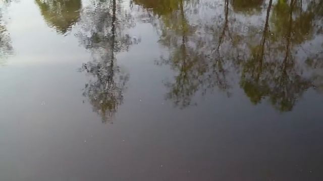 Дача где-то рядом