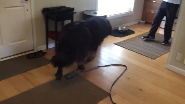 A28c712a39b4ef3e5f121a76772bc0f2