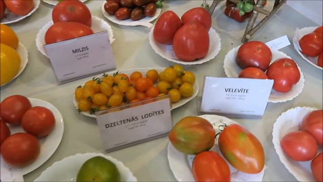 Выставка томатов в Риге 2017