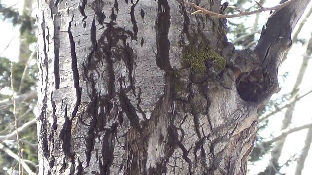 91a1912625fbc5dcf2e3dd2f4104fe73