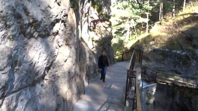 D6b49e1b07b2247e62e7c474f3890007