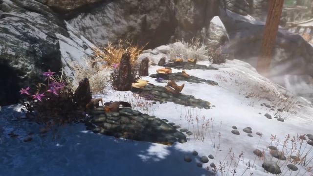 Skyrim: 5 More Interesting Characters That Bethesda Removed - The Elder Scrolls 5 Secrets