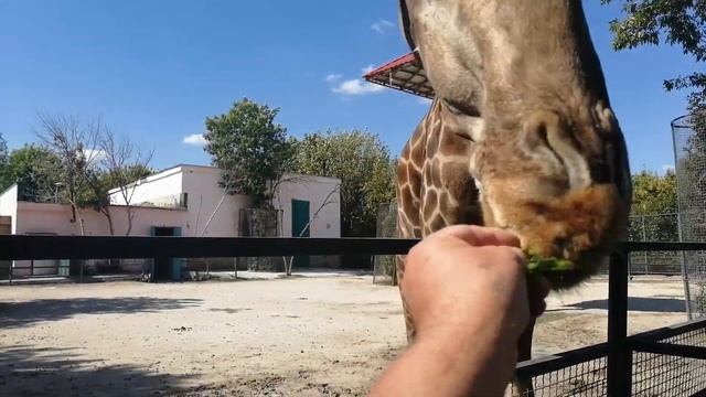 De222a2ebb6c3170b46c07b8656ff168