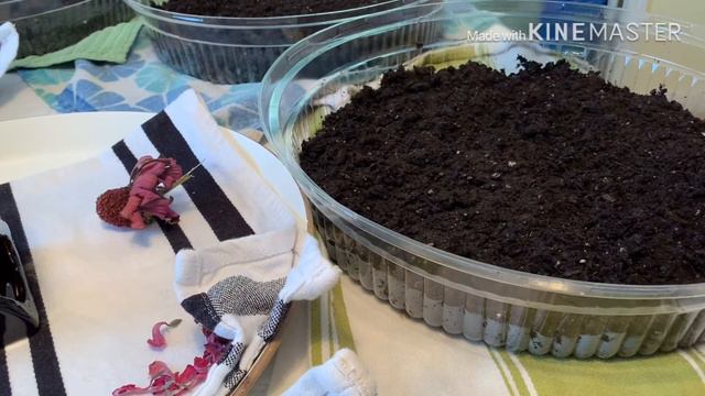 Brenda With Garden Question