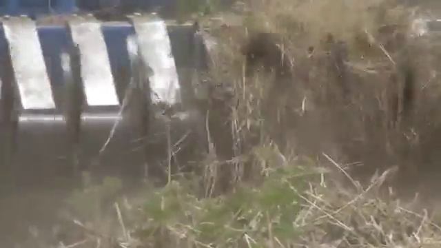 8f5600450468356be20ddcab496910c7