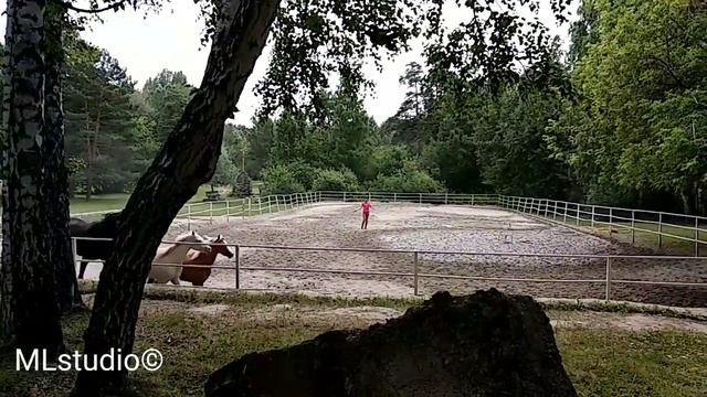 B0c8ec53e2abd1da5b3bd128cd3d60af