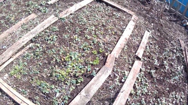 поездка на дачу и вкусный ужин