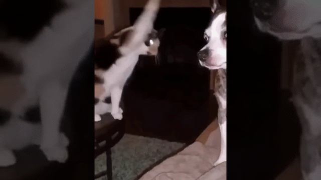 Просто юмор