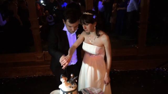 Денис и Алена. Свадьба 24.04.15 (ресторан 