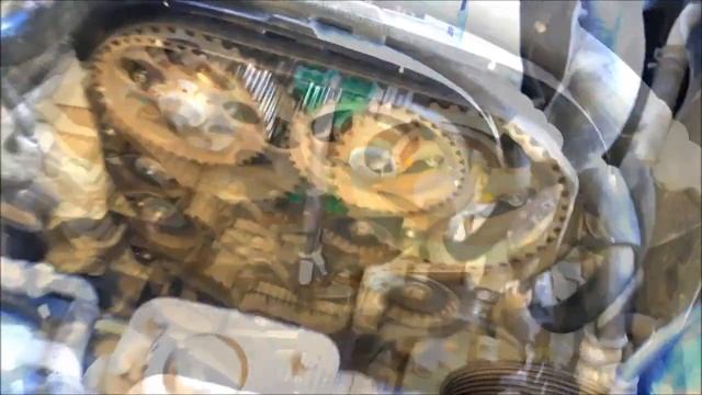 Теплый всеядный