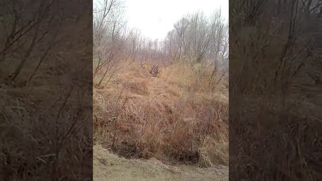 E12373abe3cfc8c9135796c7436d6635