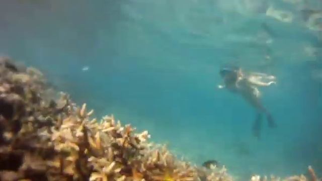 Mauritius Blue Bay 2012