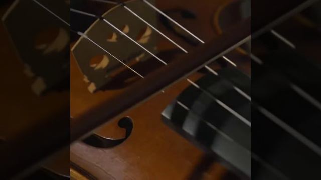 Сергей  Альбин (Я Вам  сыграю Господа)