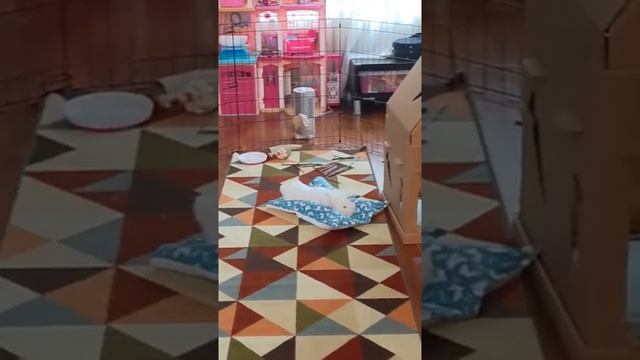 How Do I Use Time Wisely On Weekends?