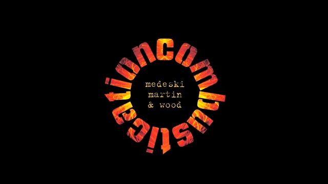 CartridgeVAN DEN HUL,balanced Output/Medeski Martin & Wood –  Start Stop / VINYL