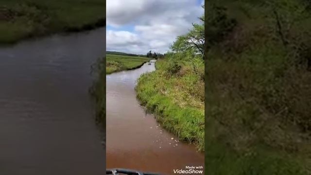 Cfmoto Cforce 400L And Kodiak 450 Beautiful Day Trail Riding