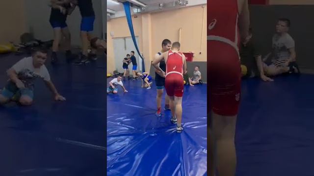 Борцовский ковер 8*8м - из чего состоит, как стелить?