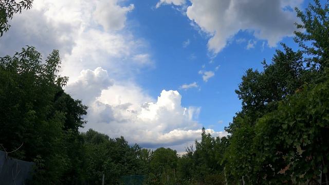 09a44519a9303af58f23718c00f8eb49