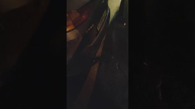 Топливо в крови