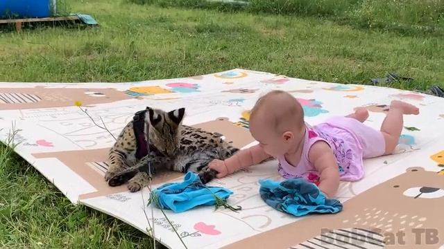 961e5d58c67c0b36bf3e389c504866e0