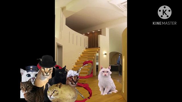 Коты в городе: Новогодняя серия (2023)