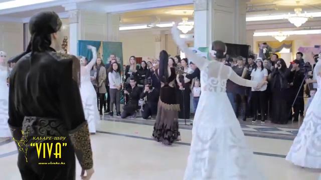 VIOLIN инструментально танцевальный проект 8 775 282 62 52