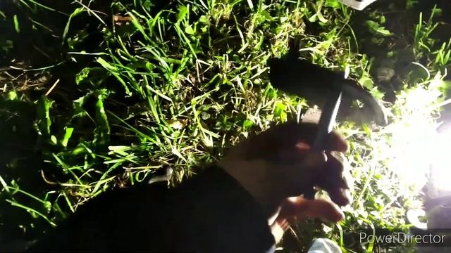 Идеальный дом