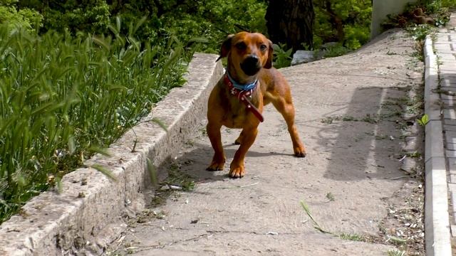 16c9760a4d34850c5a71cb6683168503