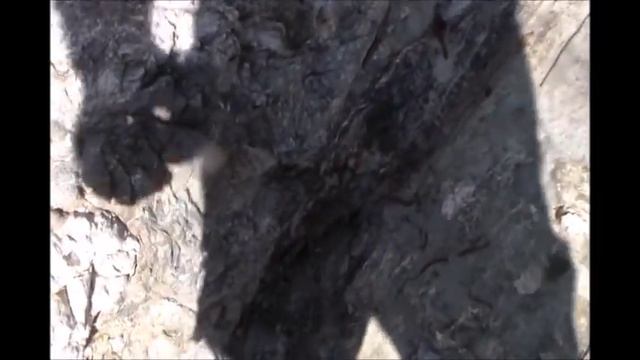 Nokta Fors Gold + First Time Out Gold Prospecting