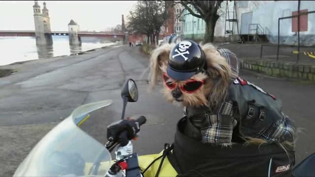 Зимние покатушки 07 02 2016