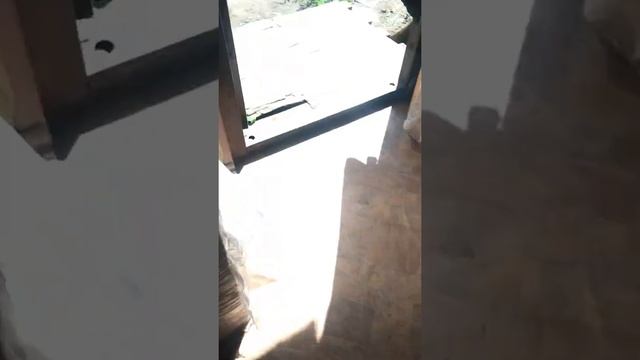 Мастерство без переживаний