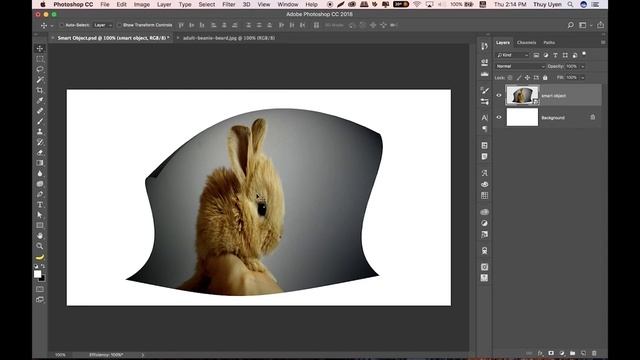 73b060618a4e9b62e62b89c51883ab19