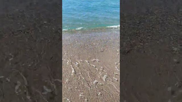 турция 17.06.2021 10.22 Gardenia Beach