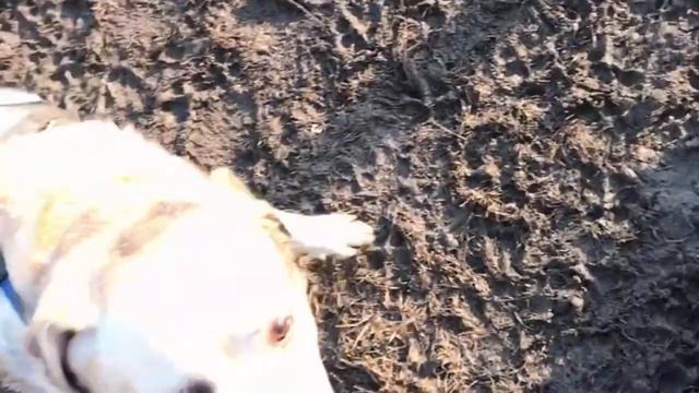 B37ec78bfd5e82051a7857f14f334c55