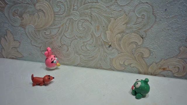 продолжение жизни ам-няма