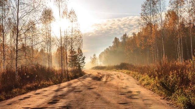 B31558189f510928d6c2d077ecdfddc4