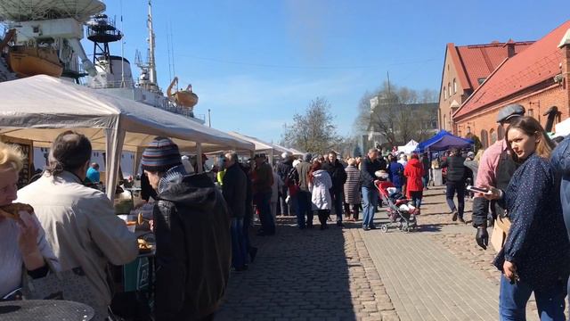 Калининград. День Селёдки. Прогулка