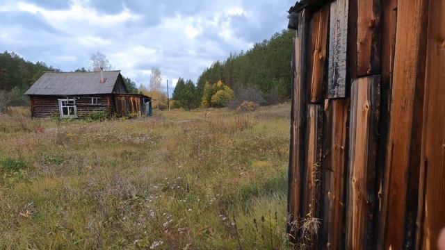 Нашёл ЗАБРОШЕННЫЙ ПОСЕЛОК в ГЛУХОМ ЛЕСУ у РЕКИ!