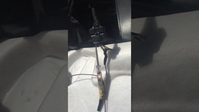 Citroen: любители и фанаты