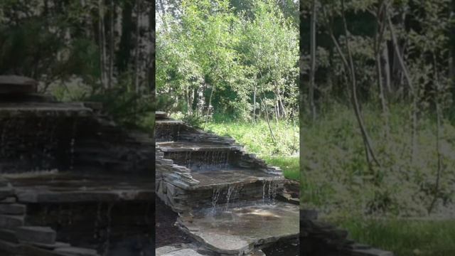 мастер диких камней