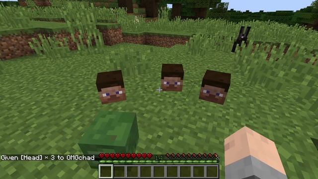 How To Get People's Heads In Minecraft