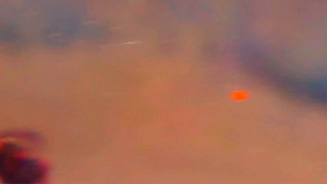 Муха лазает по оконному стеклу №2