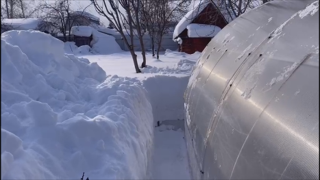 Ff1e585958c6ae132066b788eec20921